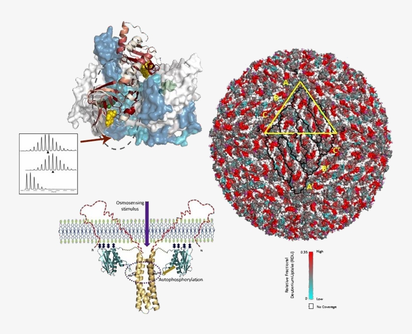 Mobirise, transparent png download