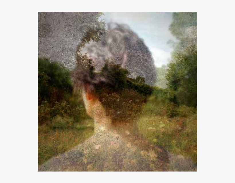 Inside The View © Helen Sear - Helen Sear, transparent png download