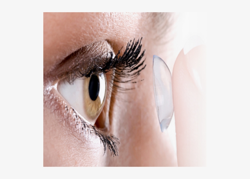 Contact Lens, transparent png download