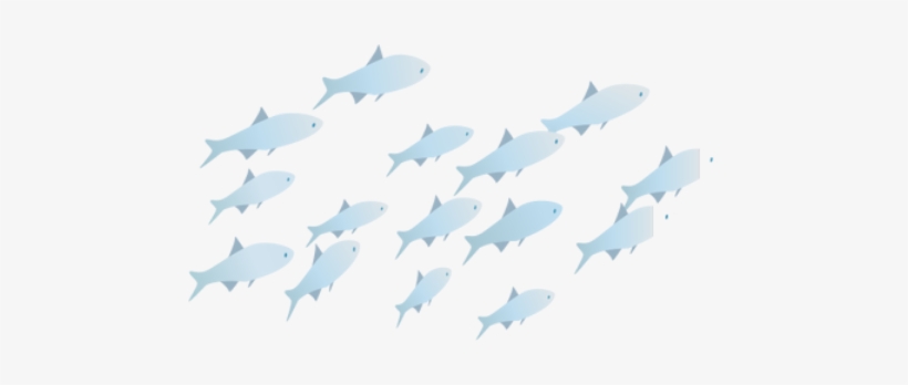 Fish Png - Portable Network Graphics, transparent png download