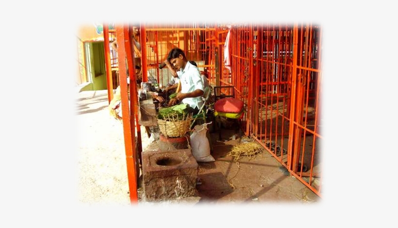 Image023 - Plantation, transparent png download