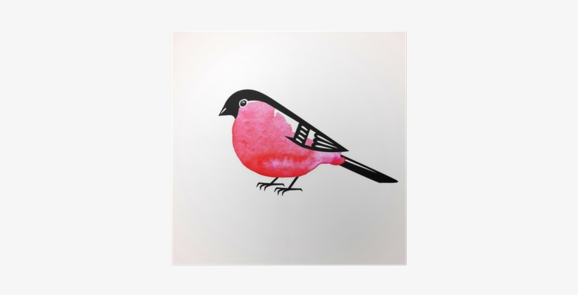 Watercolor Bullfinch On White Background - Eurasian Bullfinch, transparent png download