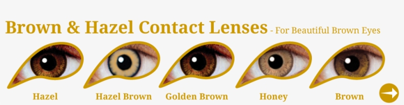 Collections For Colour Your Eyes-03 V=1369433820 - Mesmereyez 1 Month Honey Contact Lenses, transparent png download