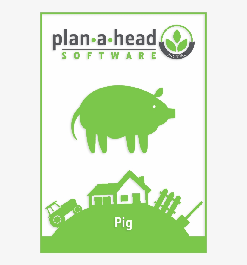 Plan A Head Pig Software - Software, transparent png download