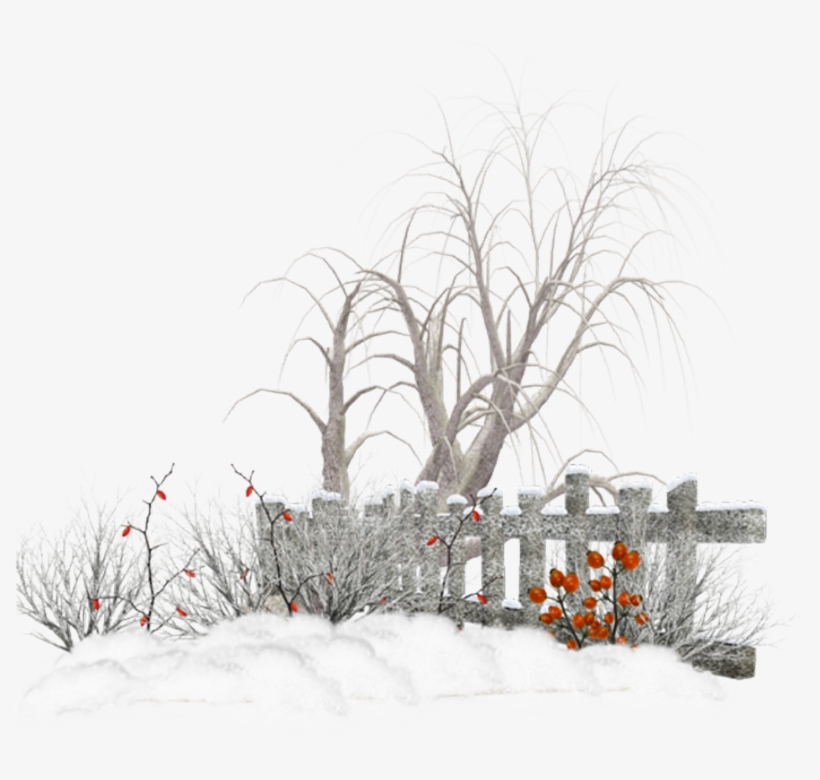 Snow, transparent png download