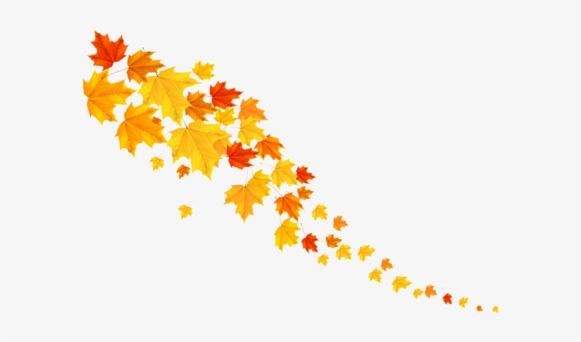 Clipart Images, Clip Art, Projects To Try, Illustrations - Leafs Png, transparent png download