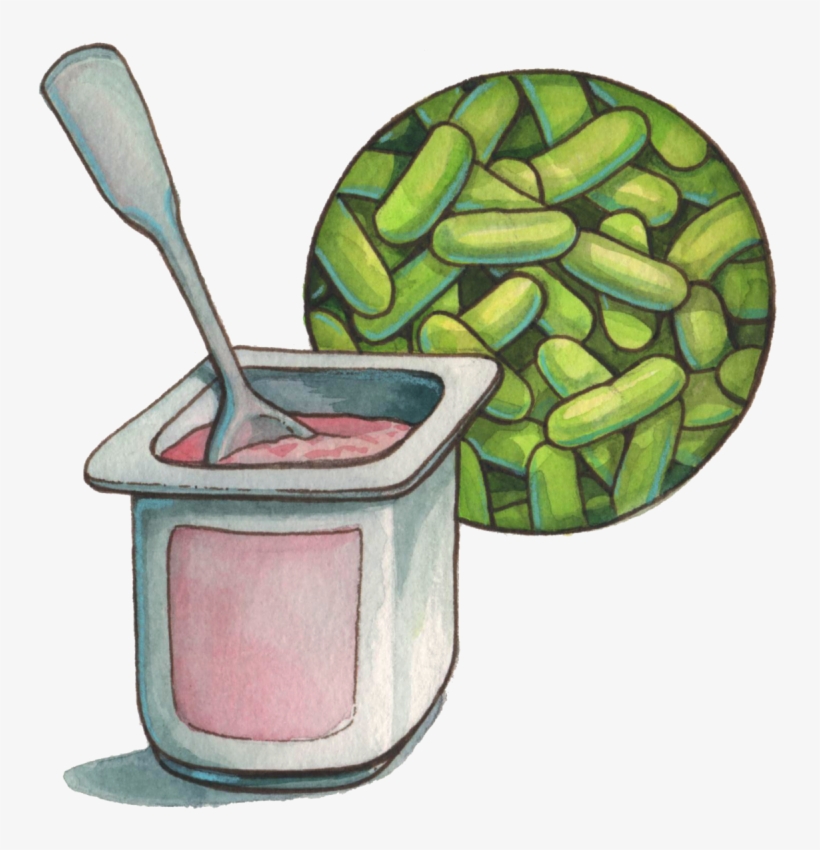 For Patients & Caregivers - Probiotics Png, transparent png download