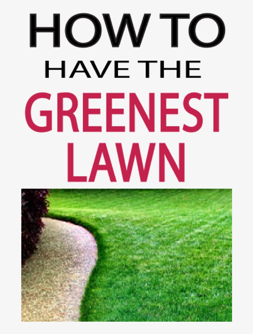 Tips To Have A Beautiful Green Lawn This Season - G Five, transparent png download
