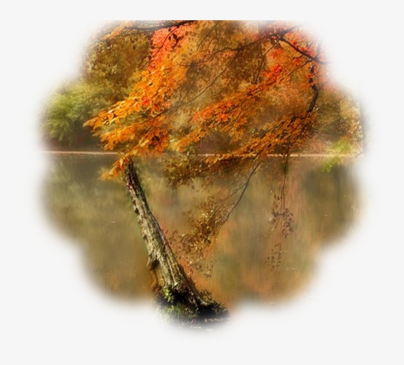 8 Trim Images - Wallpaper, transparent png download