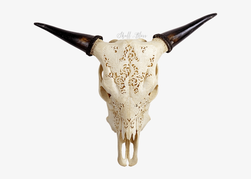 Carved Cow Skull - Cow Skull Indian Eagles, transparent png download