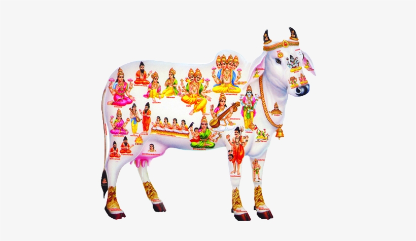 Indian Cow A Moving Temple - Kamadhenu, transparent png download