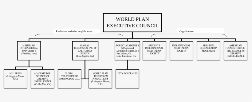 Wpec's Organization In The United States In - Organisational Structure Of Himalaya Drug Company, transparent png download