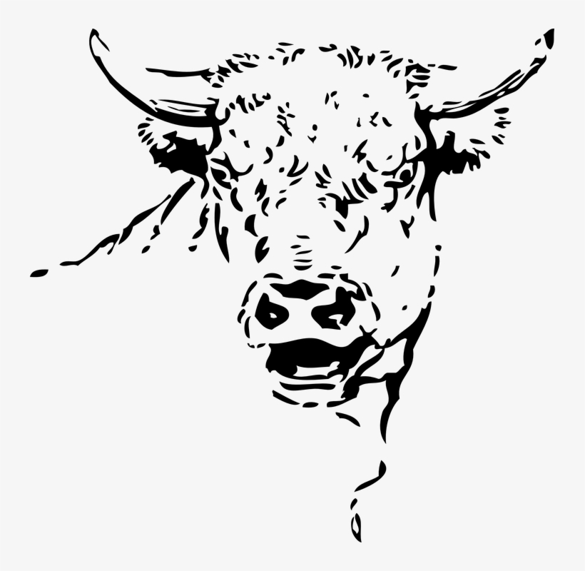 2018 Will Be Good For Equities - Bull Riding Rectangle Sticker, transparent png download