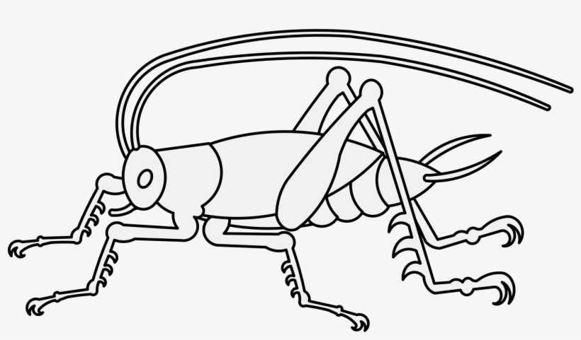 Details, Png - Heraldic Art, transparent png download