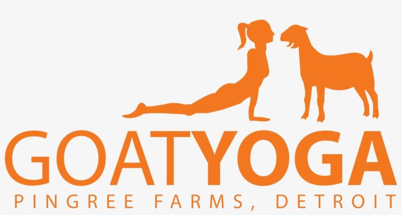 Goat Yoga - Pingree Farms Goat Yoga, transparent png download