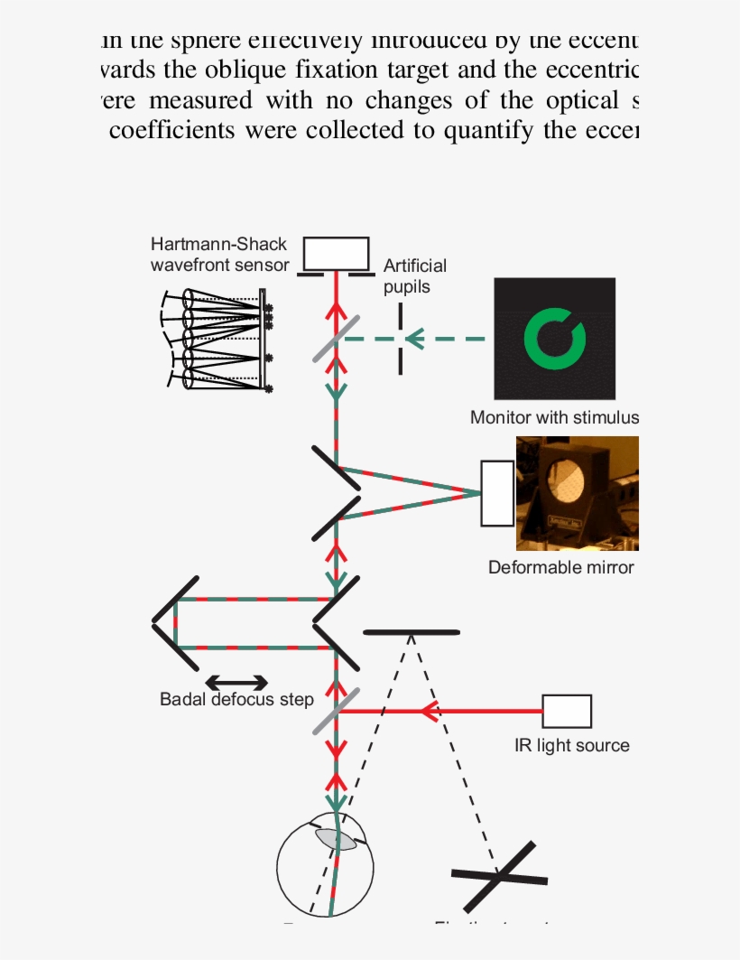 Main Components Of The Optical Setup - Mirror, transparent png download