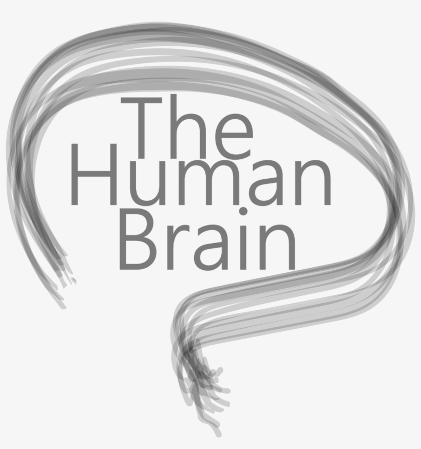 Raj Badal Followed - Human, transparent png download