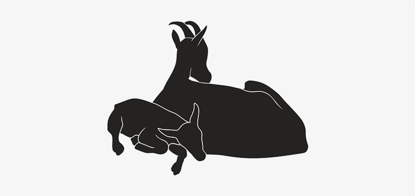 Silhoutte Design For Wwf, India - Design, transparent png download