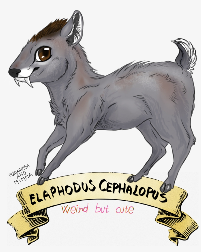 The First One Is The Adorable - Tufted Deer, transparent png download