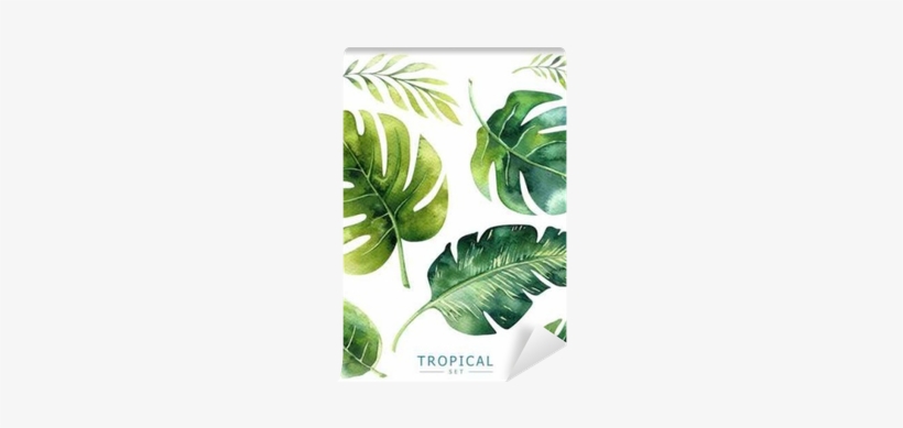 Hand Drawn Watercolor Tropical Plants Set - Brazilian Tropical Plant, transparent png download