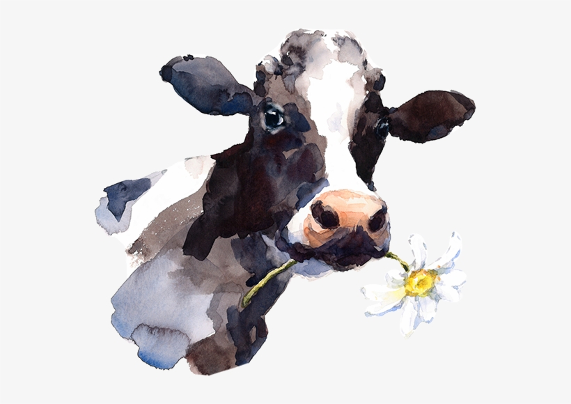 Grünfink Cow - Watercolor Cow Head Png, transparent png download