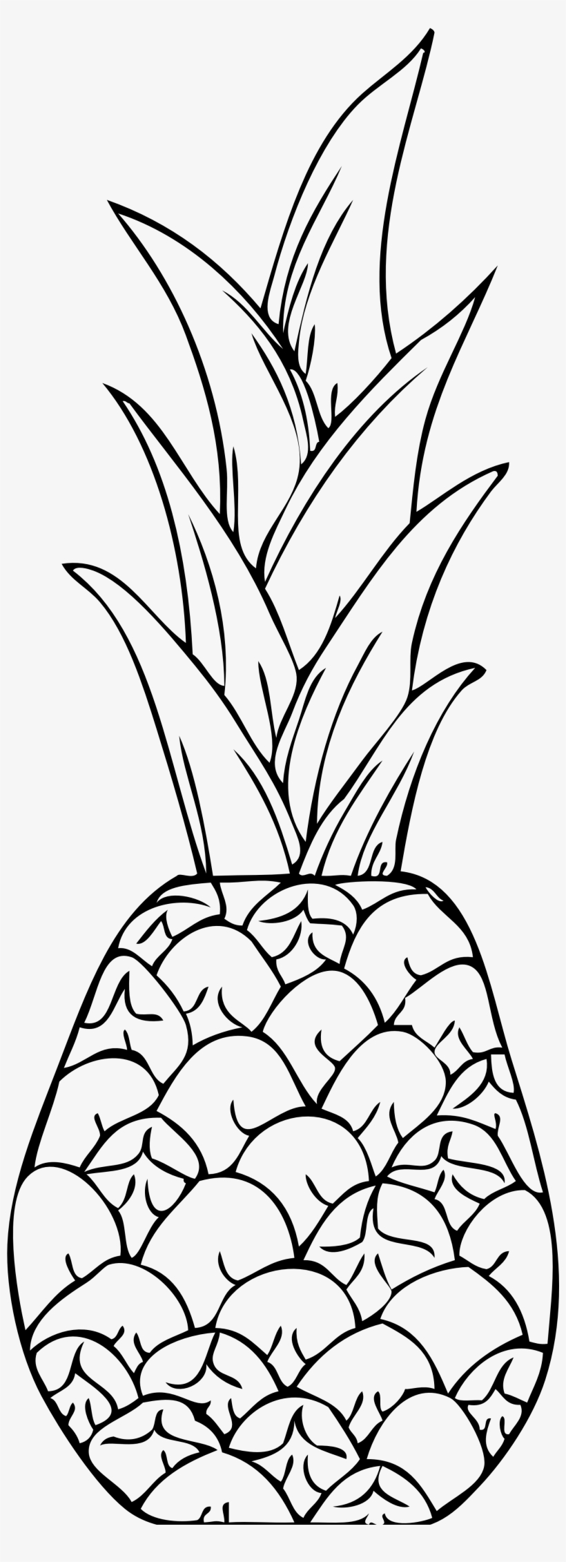 Pineapple Clip Art Fourcoloringpages - Pineapple Clip Art, transparent png download