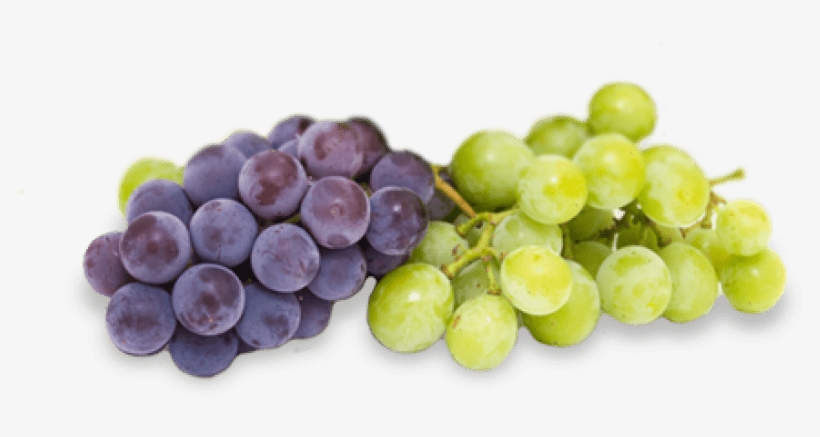 Free Png Transparent Grapes Png Png Images Transparent - Grapes Transparent, transparent png download
