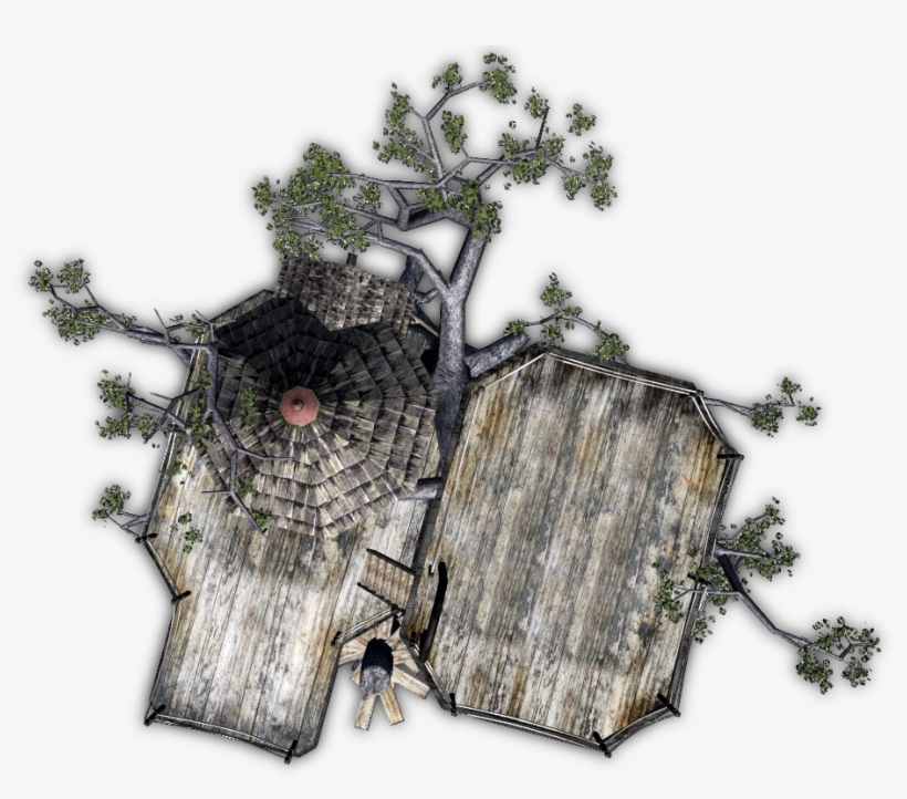 00 972k Tree 04 06 Feb 2009 - Tree Stump, transparent png download