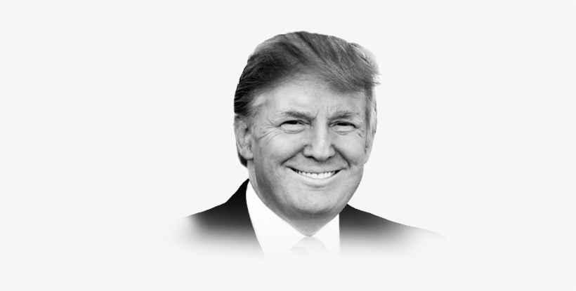 Created With Highcharts - Donald Trump, transparent png download