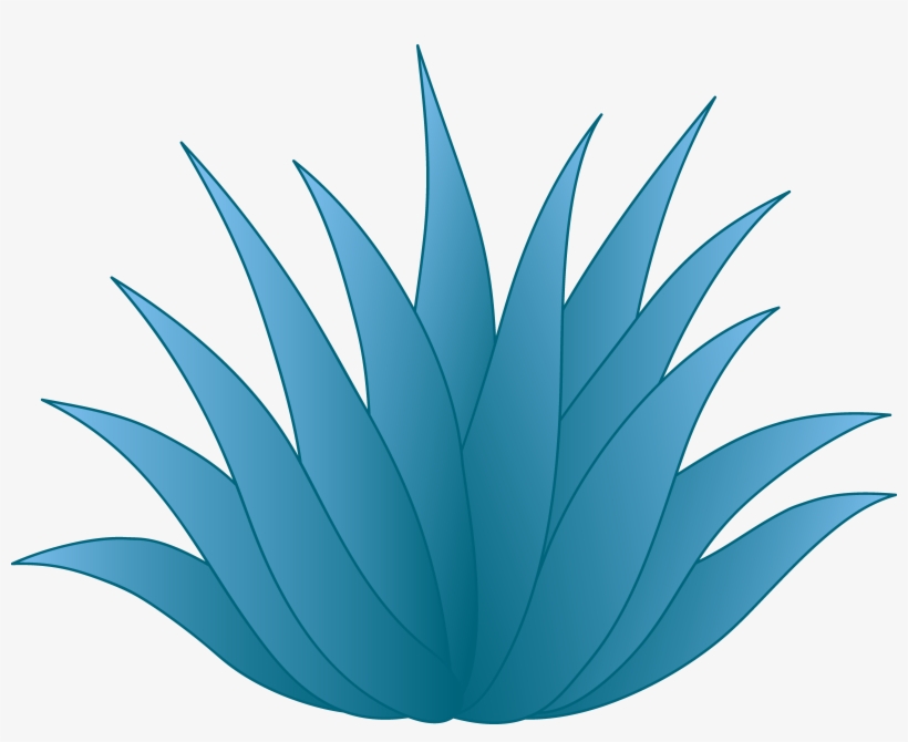 Tequila Clipart Plant - Agave Clip Art, transparent png download