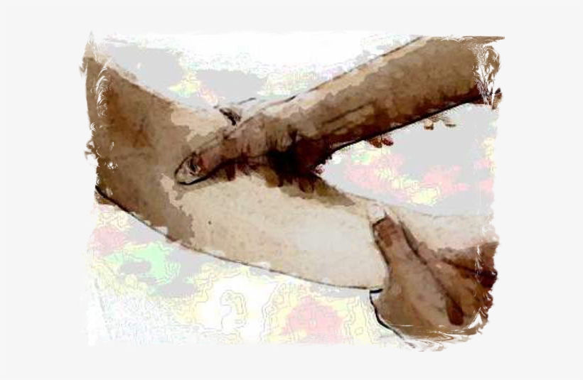 Usa Las Flechas Para Desplazarte - Massage, transparent png download