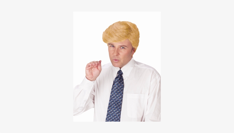 Funworld Comb Over Candidate Costume Wig Adult Men, transparent png download