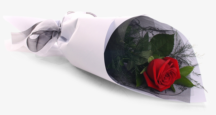 Single Red Rose - Flower, transparent png download