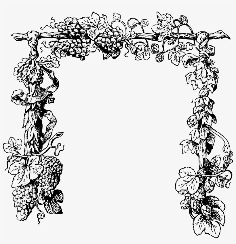 Download - Grape Vines Clipart, transparent png download
