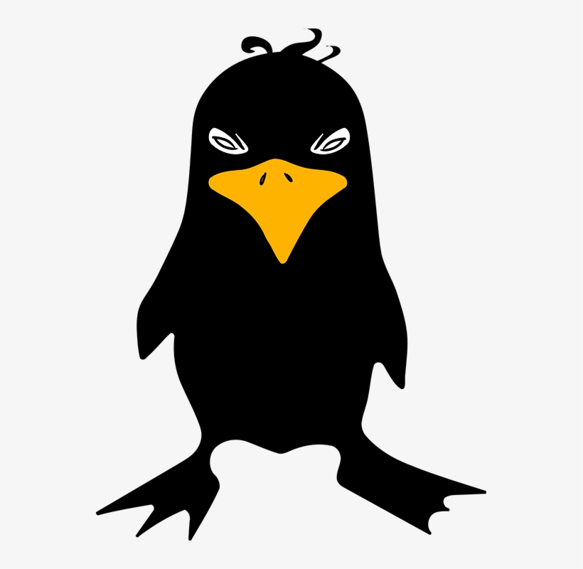 Raven, Crow, Angry, Bird, Black - Blac Bird Clipart, transparent png download