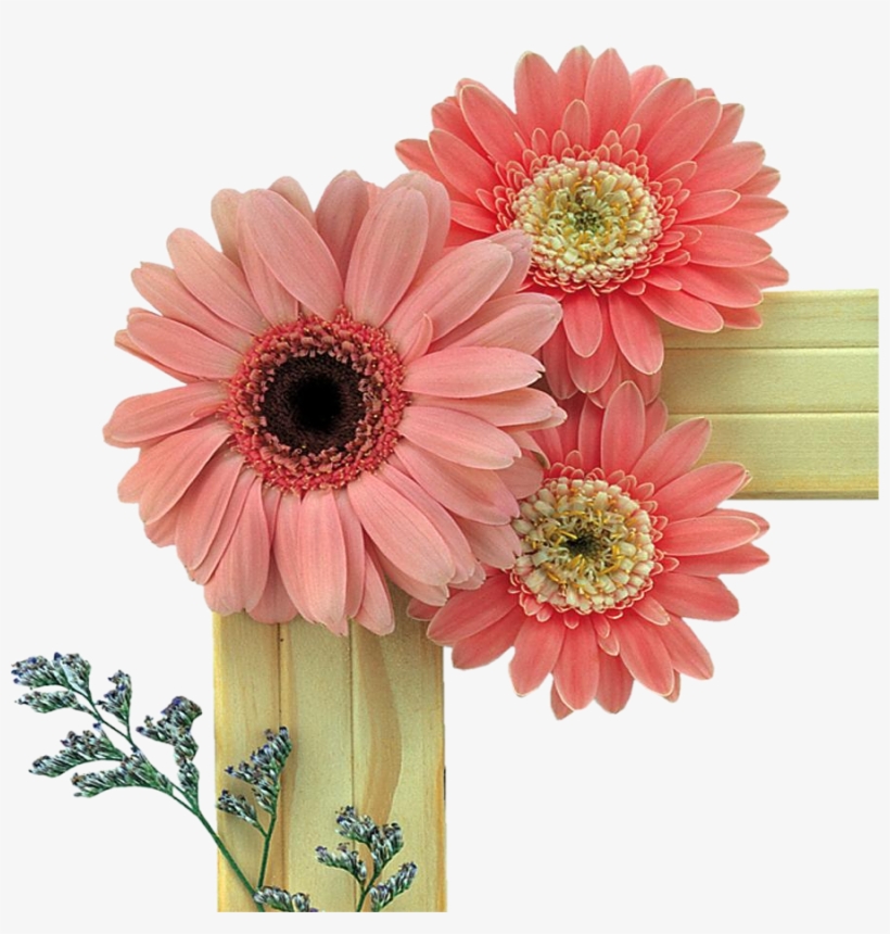 File Format, Png Format, Photoshop, Clip Art, Daisy, - Frienship Friendship Kavithaigal Tamil, transparent png download