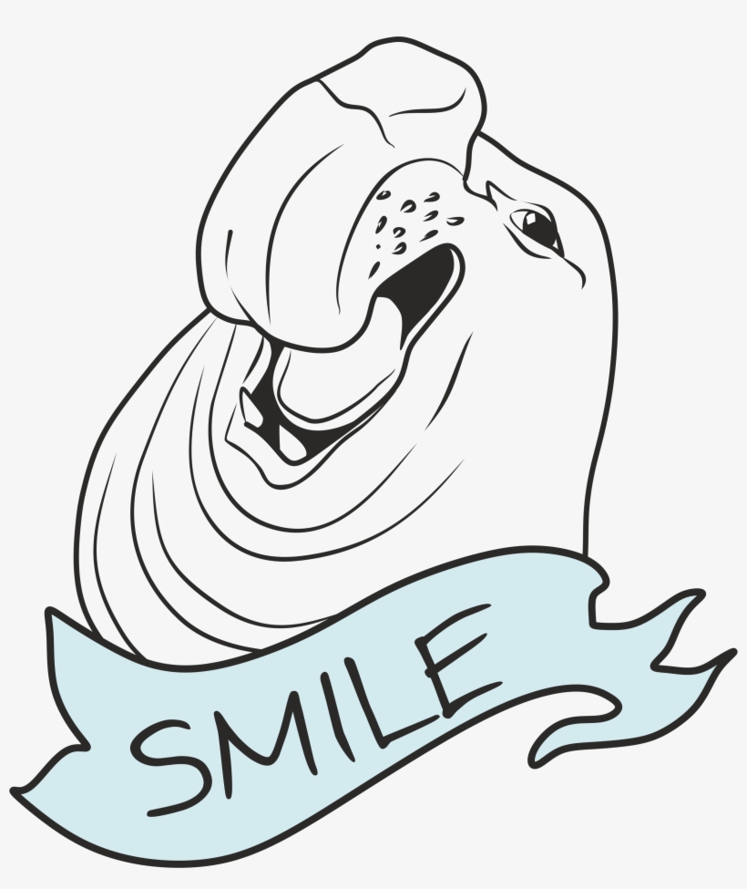 Elephant Seal, transparent png download