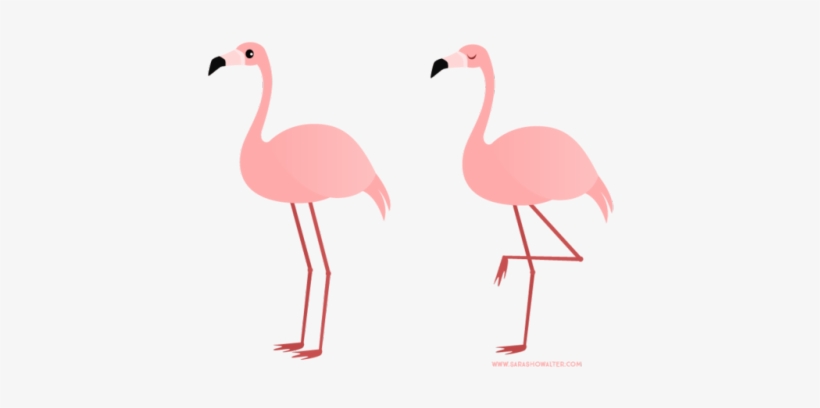 Sara Draws Daily Royalty Free Library - Clipart Flamingo, transparent png download