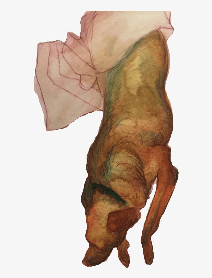 Stacy, August - Artist, transparent png download