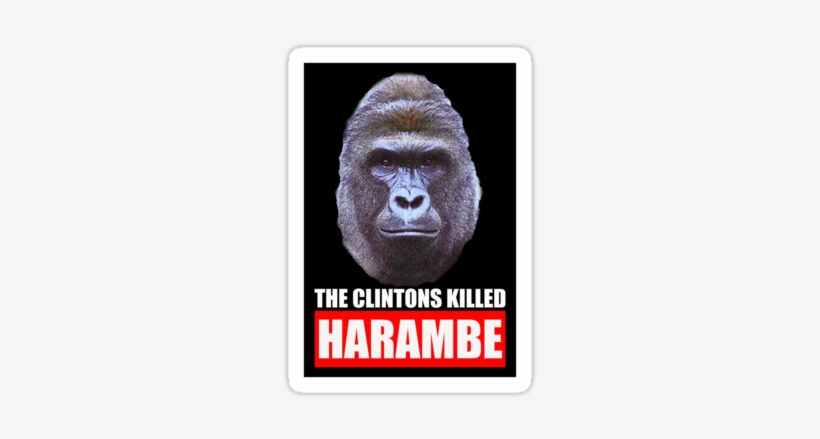 The Clintons Killed Harambe - Harambe The Gorilla Mask By Rapmasks - 12" X 9" Waterproof, transparent png download