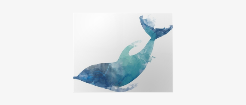 Watercolor Playing Dolphin Women's Tees, transparent png download
