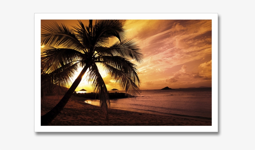 A Blog Post From The Other Side - Seaside Wall Mural - Sunset Palm Tree, transparent png download