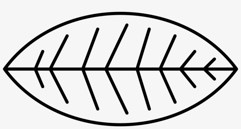 Leaf Of A Bush Comments - Vector Graphics, transparent png download