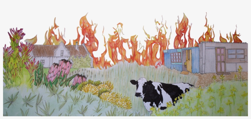 Wildfire, transparent png download