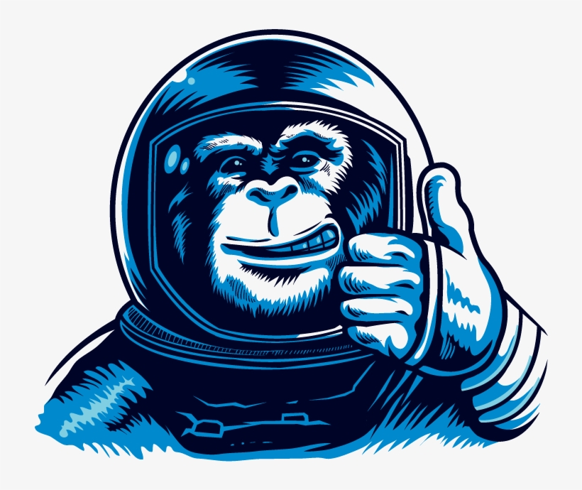 Monkey, transparent png download