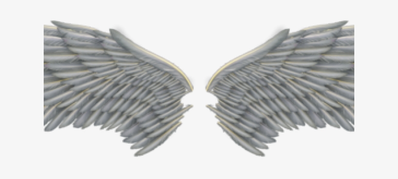 Angel Wings Png - Transparent Angel Wing Png, transparent png download