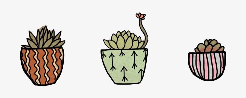 Love Succulents Learn How To Bring The Joy Of The Outdoors - Succulent Drawing Transparent Background, transparent png download