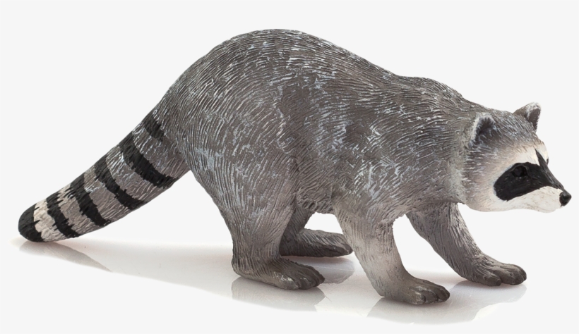 Raccoon Png Transparent Image - Mojo Raccoon, transparent png download