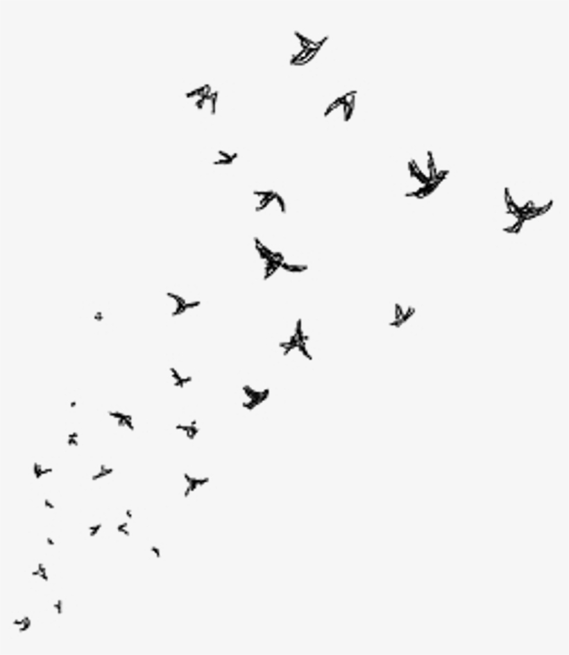 Graphic Transparent Download Clip Stuido Watercolor - Paris Drawing, transparent png download