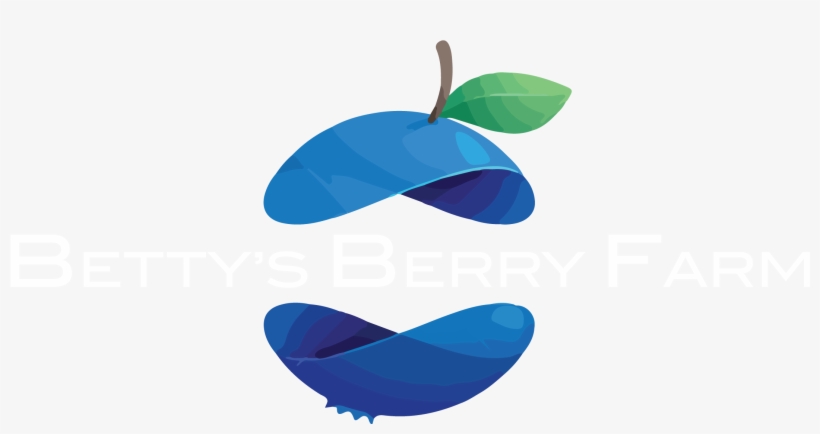 Bettys Blueberry Farm - Logo Blueberry, transparent png download